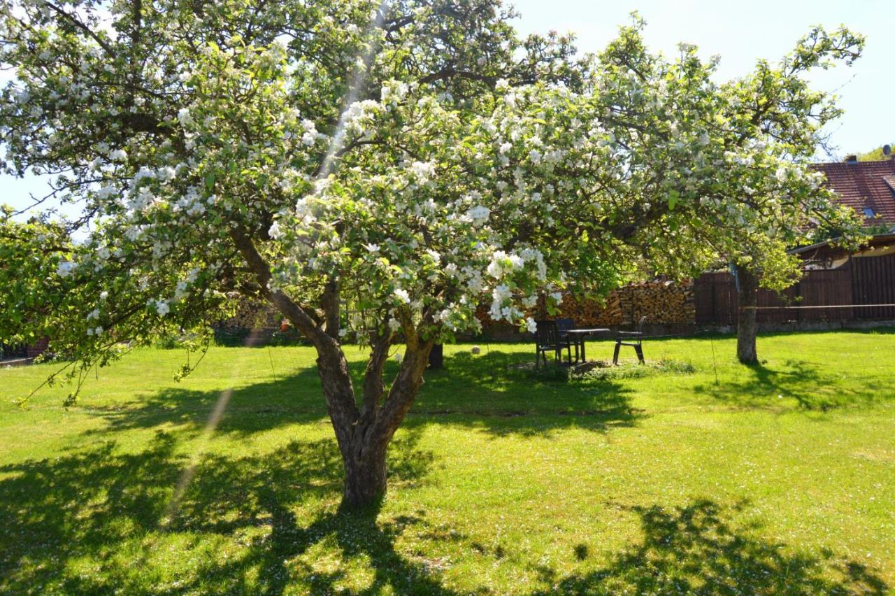 Waldblick Apartment Bückeburg